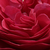 Crvena  - Floribunda-grandiflora ruža  - Pompadour Red
